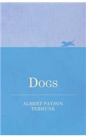 Dogs