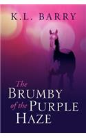 Brumby of the Purple Haze