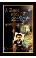 Glance at My Past: A Past Packed with Admixture of Events and Challenges