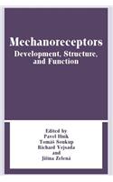 Mechanoreceptors