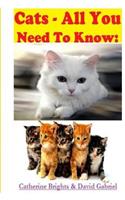 Cats - All You Need To Know
