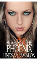 Waking the Phoenix