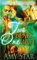 Two Bears, One Mate