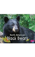 North American Black Bears