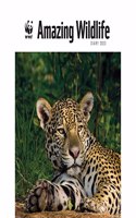 WWF Amazing Wildlife Deluxe A5 Diary 2023
