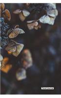 Floral Journal - Hydrangea