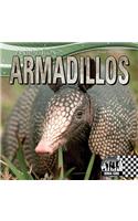 Armadillos