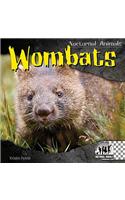 Wombats