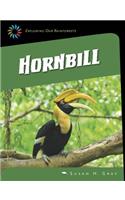 Great Hornbill