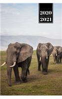 Elephant Mammoth Week Planner Weekly Organizer Calendar 2020 / 2021 - Three Friends