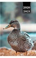 Duck Geese Goose Mallard Duckling Week Planner Weekly Organizer Calendar 2020 / 2021 - Landscape Walk