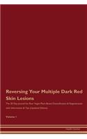 Reversing Your Multiple Dark Red Skin Lesions: The 30 Day Journal for Raw Vegan Plant-Based Detoxification & Regeneration with Information & Tips (Updated Edition) Volume 1