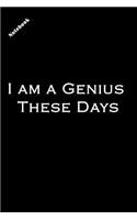 I Am a Genius These Days