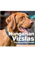 Hungarian Vizslas