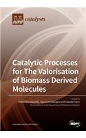 Catalytic Processes for The Valorisation of Biomass Derived Molecules