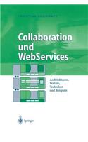 Collaboration und WebServices: Architekturen, Portale, Techniken und Beispiele(Business Engineering)