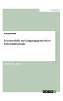 Schulmodelle zur jahrgangsgemischten Unterrichtspraxis