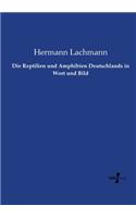 Die Reptilien und Amphibien Deutschlands in Wort und Bild