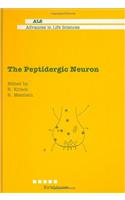Peptidergic Neuron