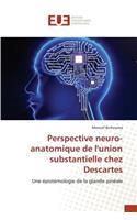Perspective neuro-anatomique de l'union substantielle chez Descartes