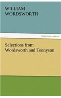 Selections from Wordsworth and Tennyson: (English)
