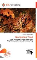 Mongolian Toad