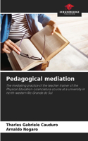 Pedagogical mediation