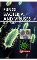 Fungi, Bacteria And Viruses
