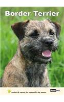 Border Terrier