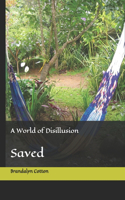 World of Disillusion: Saved