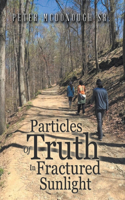 Particles Of Truth In Fractured Sunlight