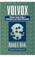 Volvox