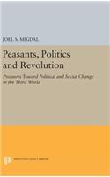 Peasants, Politics and Revolution