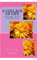 A Collage of Life: Failings, Sins, and Glories