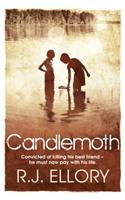 Candlemoth