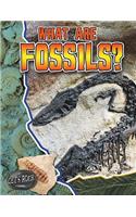 What Are Fossils?