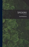 Spiders
