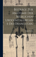 Beiträge zur Anatomie der weiblichen Urogenitalorgane des Orangutan.