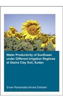 Water Productivity of Sunflower under Different Irrigation Regimes at Gezira Clay Soil, Sudan