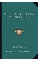 Principles Of Social Science (1858): (English)