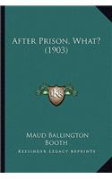 After Prison, What? (1903)
