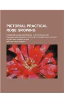 Pictorial Practical Rose Growing; A Concise Guide Describing the Propagation, Pruning, and General Culture of Roses, Both Out of Doors and Under Glass