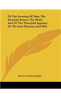 Of The Forming Of Man, The External Senses, The Mind, And Of The Threefold Appetite Of The Soul Passions And Will