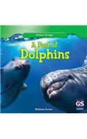 A Pod of Dolphins