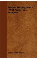 Algebra For Beginners - With Numerous Examples