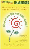 How Much Joy Can You Stand?: A Creative Guide to Facing Your Fears and Making Your Dreams Come True