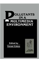Pollutants in a Multimedia Environment