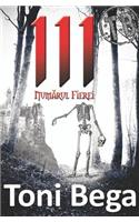 111 Numarul Fierei