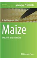 Maize