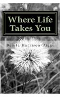 Where Life Takes You
